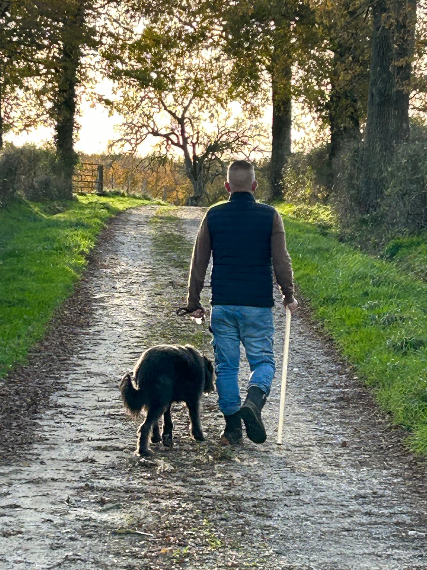 Gastheer wandelt met de hond over een landweg